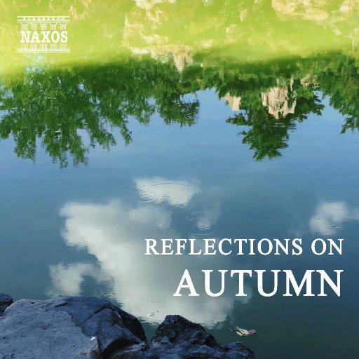 大鸡巴放在女生屁眼视频
