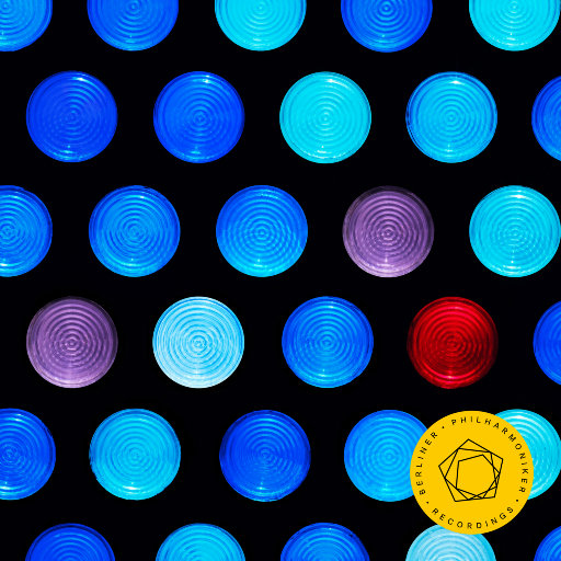 大黑鸡吧插逼视频
