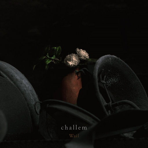 欧美人与性动交ccoo高清毛茸茸
