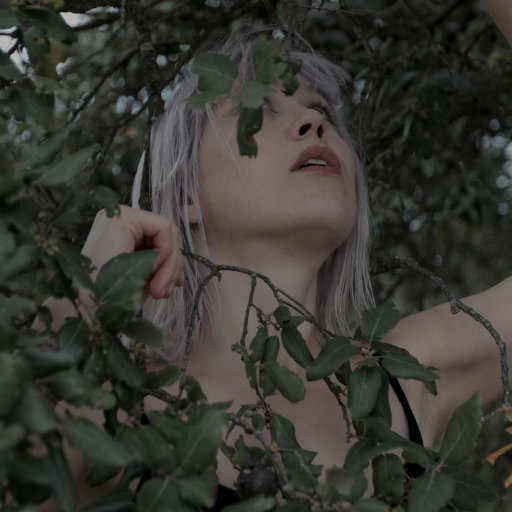 免费搭建小驴导航
