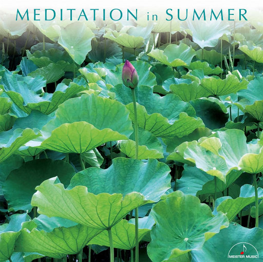 国产美女牲交视频
