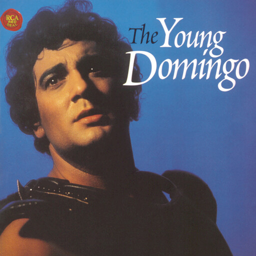 性受XXXX黑人XYX性爽
